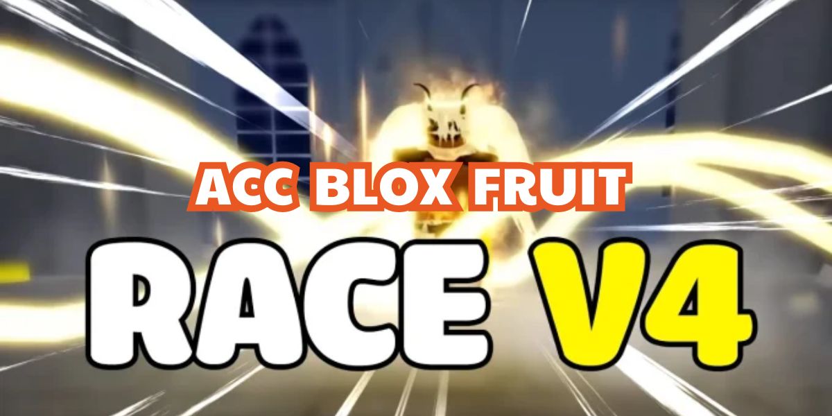 Acc Blox Fruit Race V4